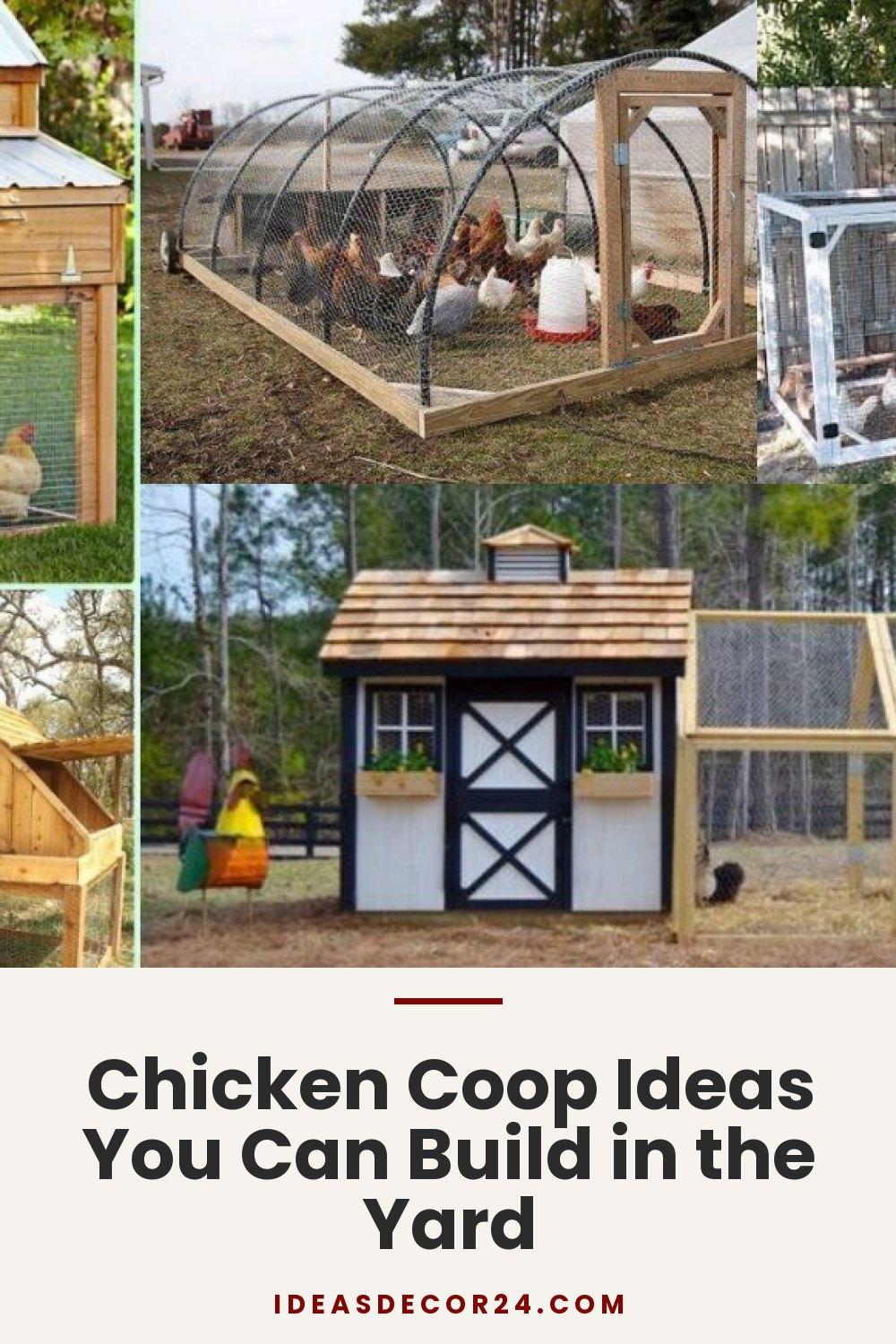 Chicken Coop Ideas You Can Build in the Yard