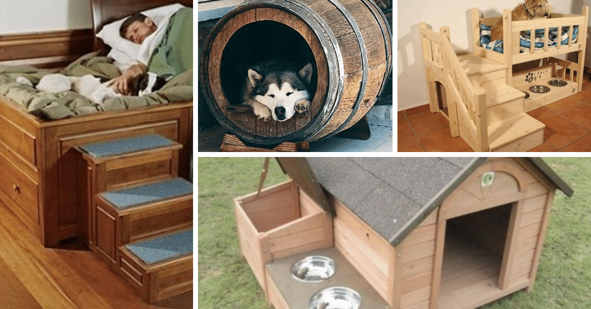 Original dog houses