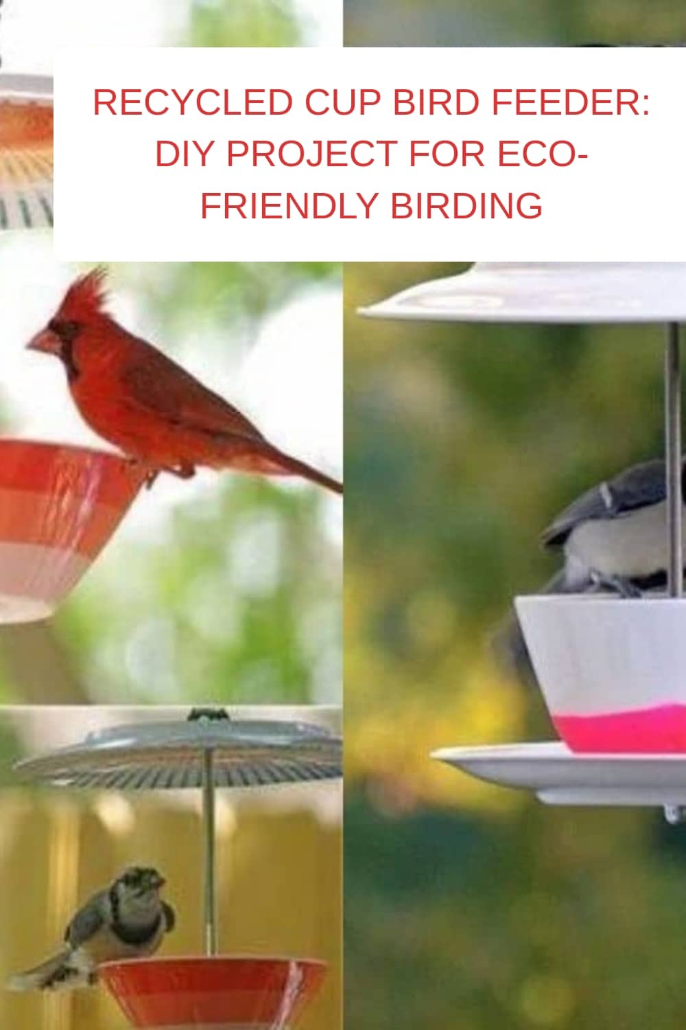 Recycled Cup Bird Feeder DIY Project for Eco Friendly Birding generated pin 5632