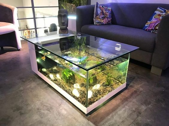 aquarium ideas to up your home interior 3