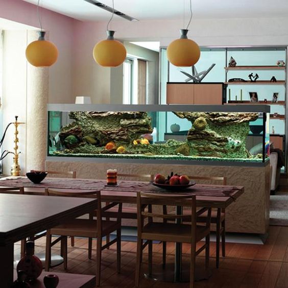 aquarium ideas to up your home interior 4