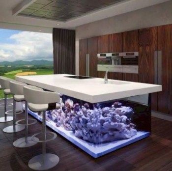 aquarium ideas to up your home interior 6