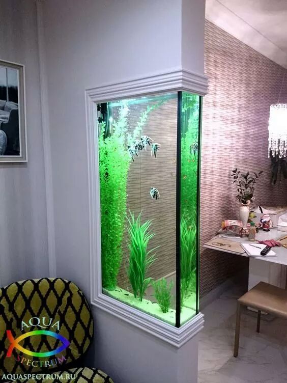 aquarium ideas to up your home interior 8