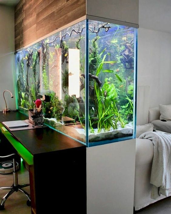 aquarium ideas to up your home interior