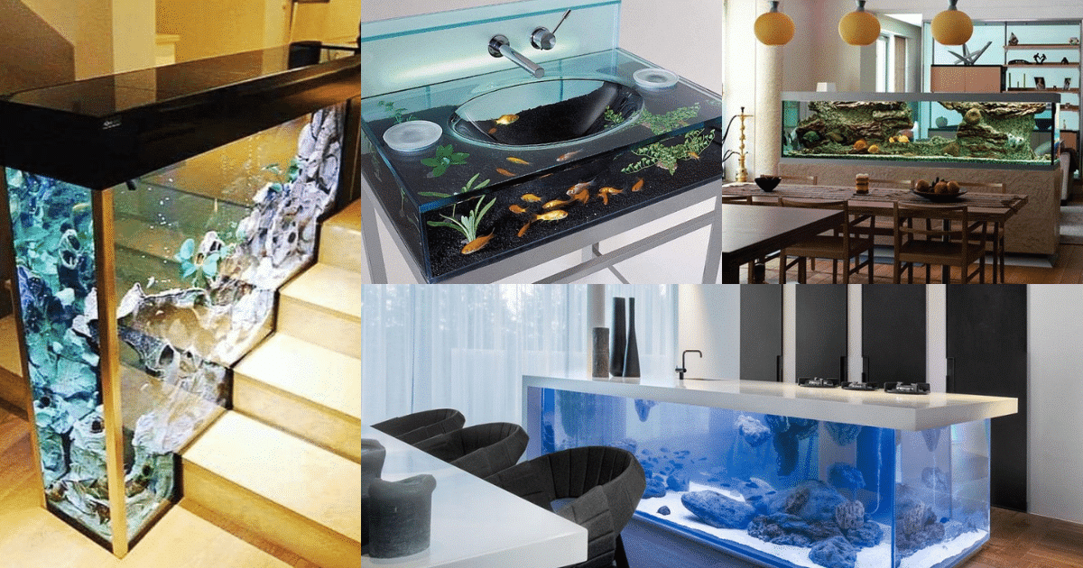 aquarium ideas to up your home interior