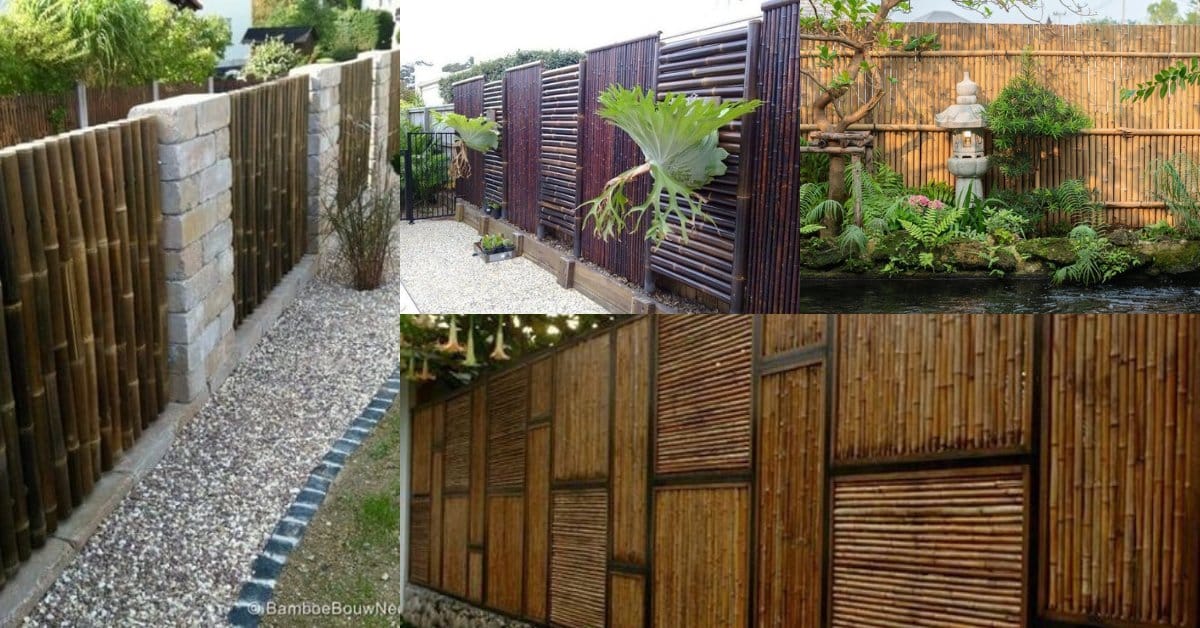 Bamboo Fencing Ideas- Protect and decorate your garden in style