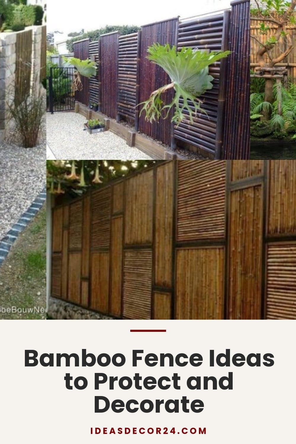 Bamboo Fence Ideas to Protect and Decorate