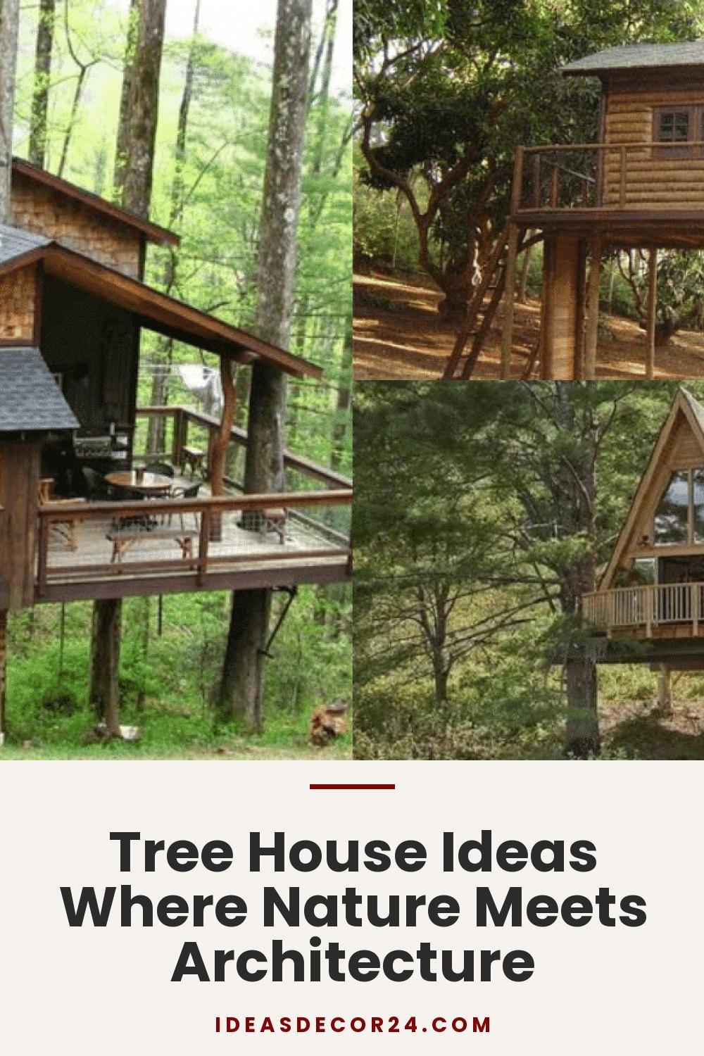 Tree House Ideas Where Nature Meets Architecture