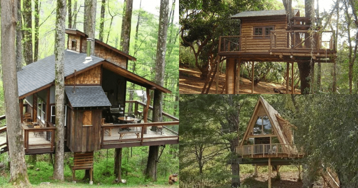 beautiful tree houses