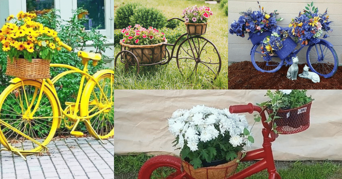 bicycle flower planters ideas