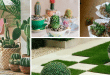 cactus home decor ideas
