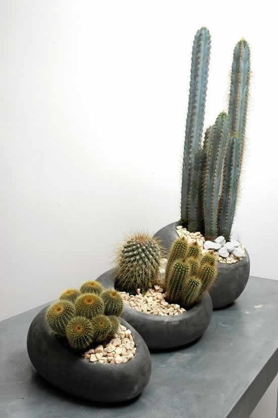 cactus home decor ideas 7