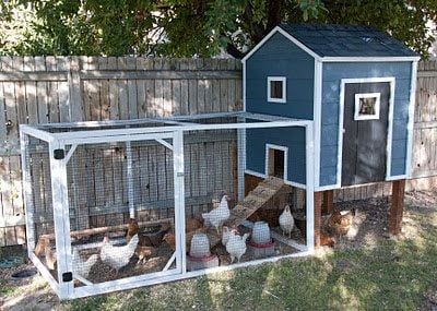 chicken coop ideas you can build 10