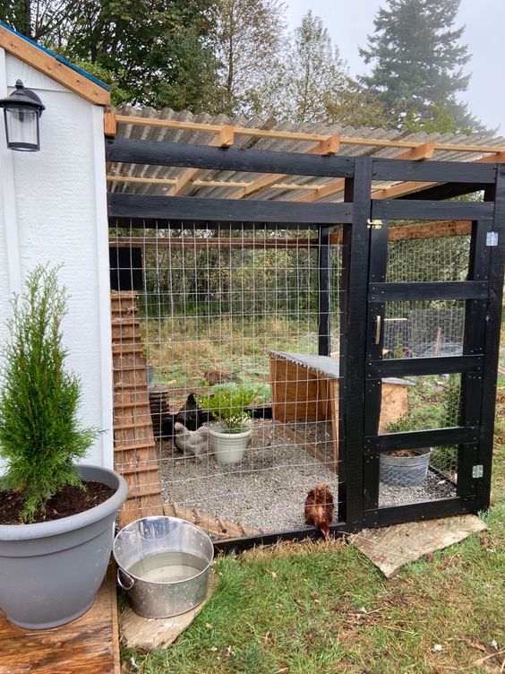 chicken coop ideas you can build 11