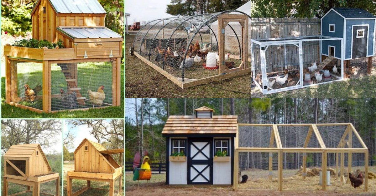 15+ Chicken coop ideas you can build