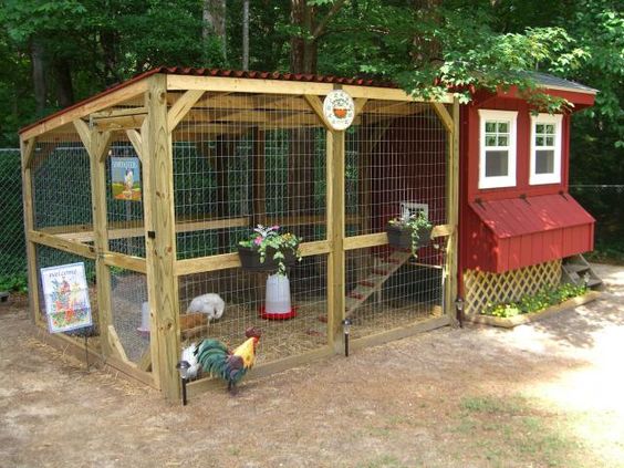 chicken coop ideas you can build 2