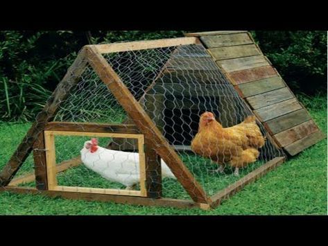 chicken coop ideas you can build 3
