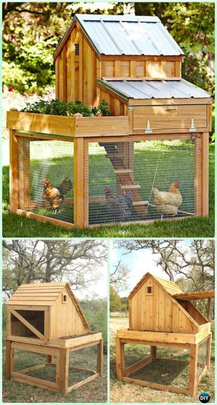 chicken coop ideas you can build 4