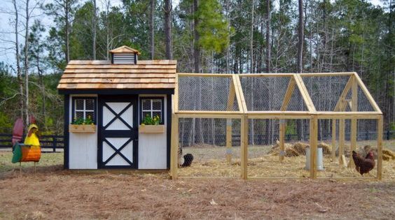 chicken coop ideas you can build 6