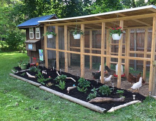 chicken coop ideas you can build 8