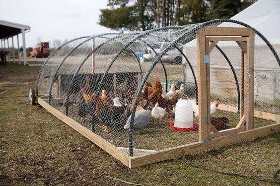chicken coop ideas you can build