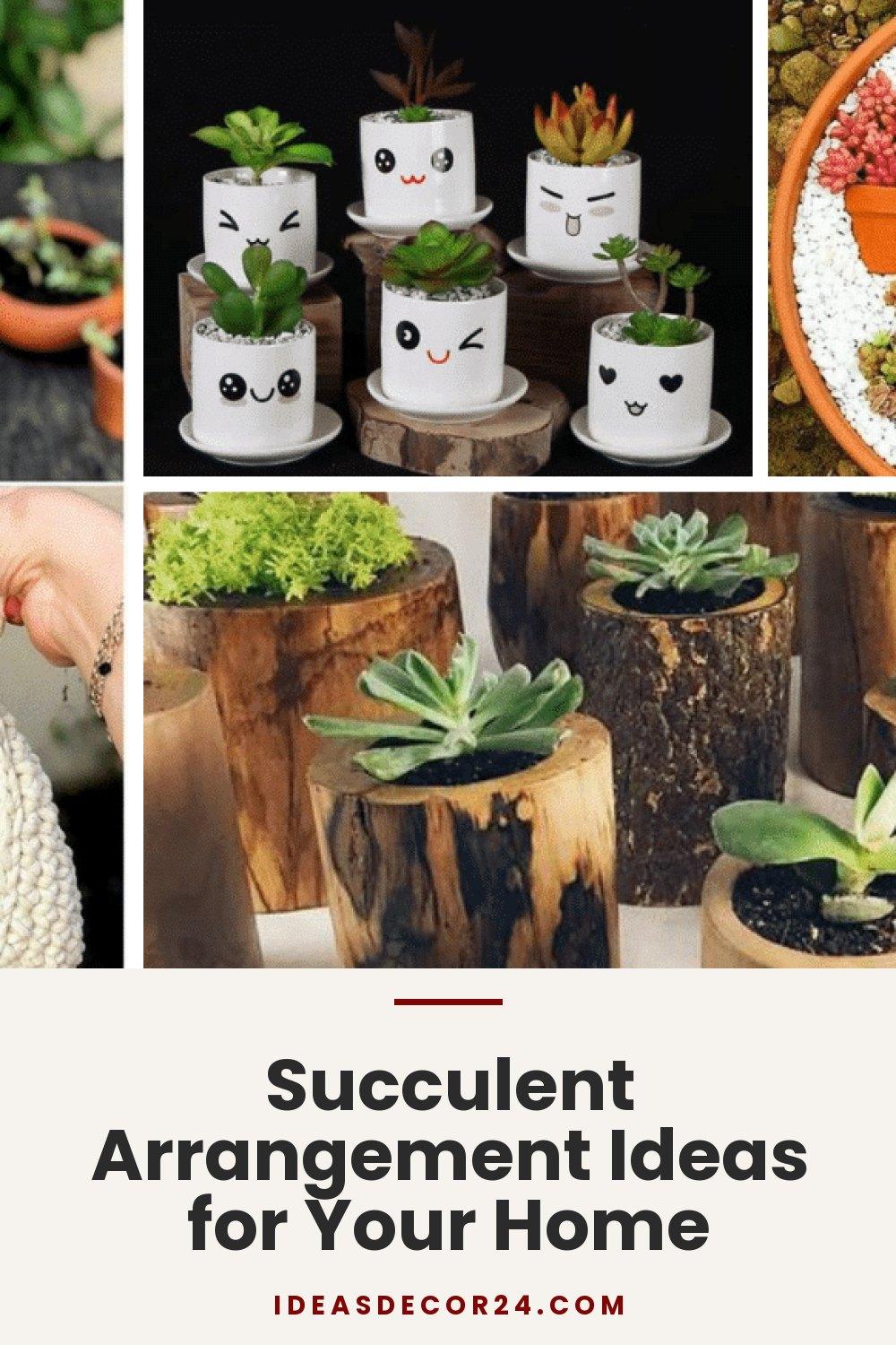 Succulent Arrangement Ideas for Your Home