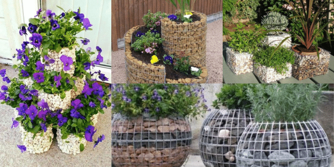 creative stone flower pot ideas