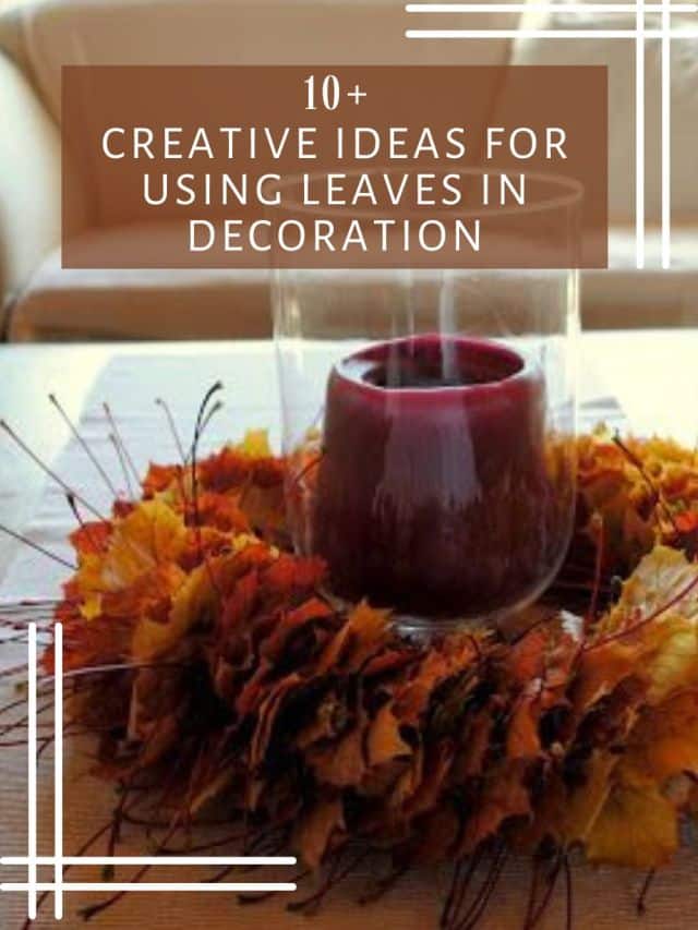 Creative ideas for using leaves in decoration
