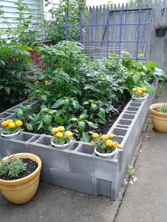 diy small garden beds with concrete blocks 7