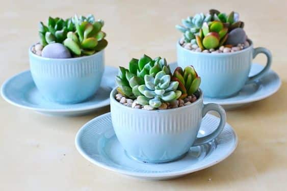 flower arrangements in cups 10