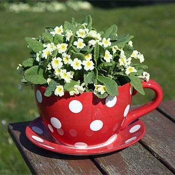 flower arrangements in cups 8