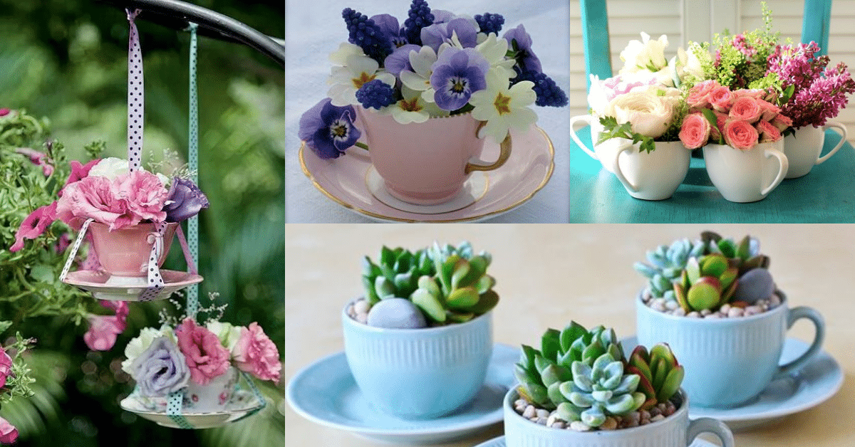 flower arrangements in cups