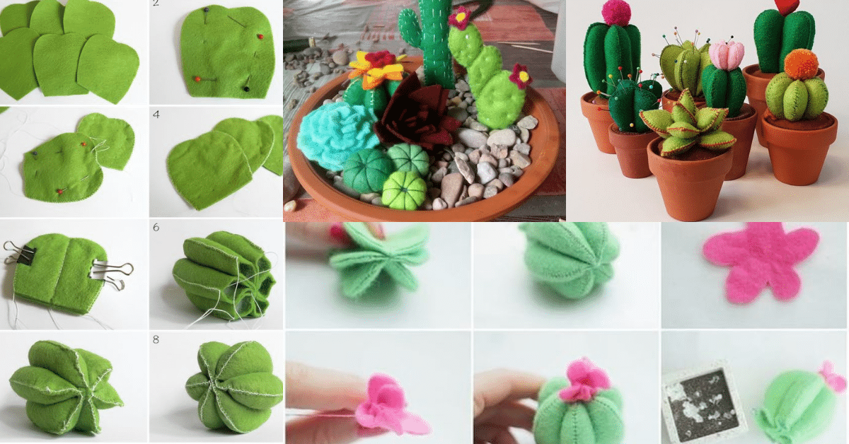 How to make creative and original felt cactus