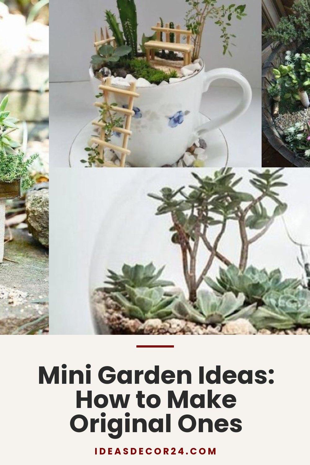 Mini Garden Ideas: How to Make Original Ones