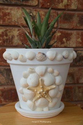how to make sea shell crafts