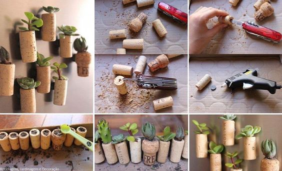 how to plant succulents in wine cork 2