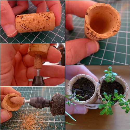 how to plant succulents in wine cork 5