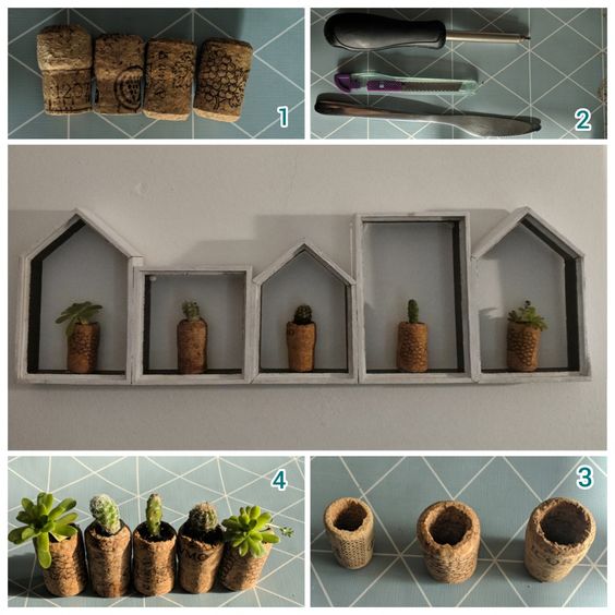 how to plant succulents in wine cork 7