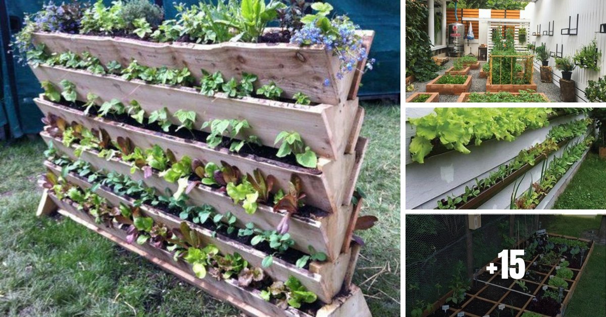 15+ Ideas for Growing Vegetables in Small Spaces