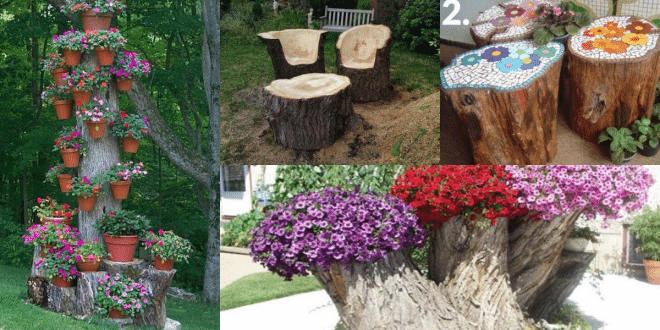 ideas for tree trunk decoration