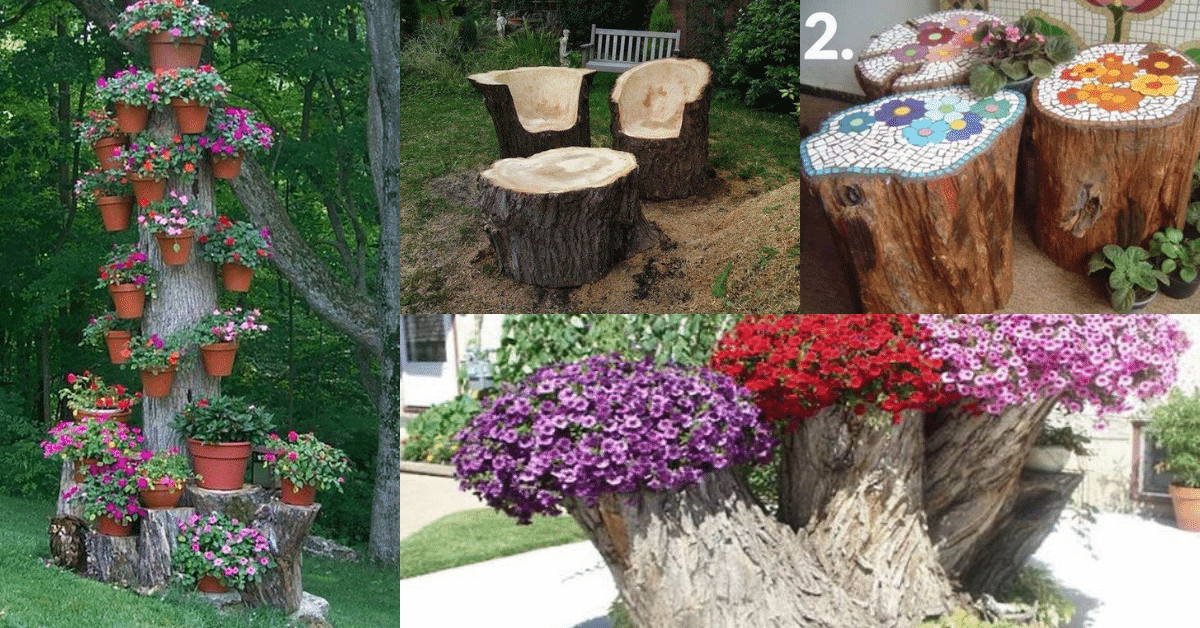 Amazing ideas for tree trunk decoration