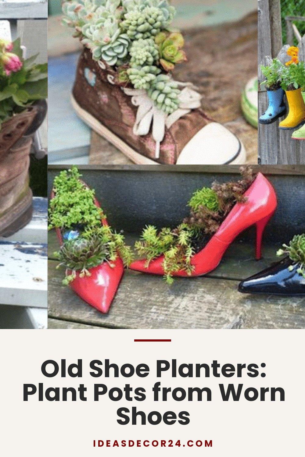 Old Shoe Planters: Plant Pots from Worn Shoes