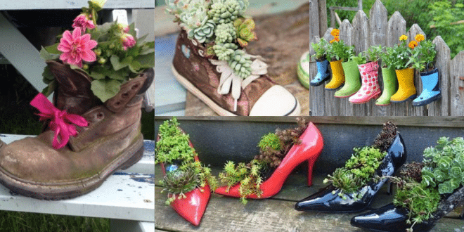 plant pots with old shoes