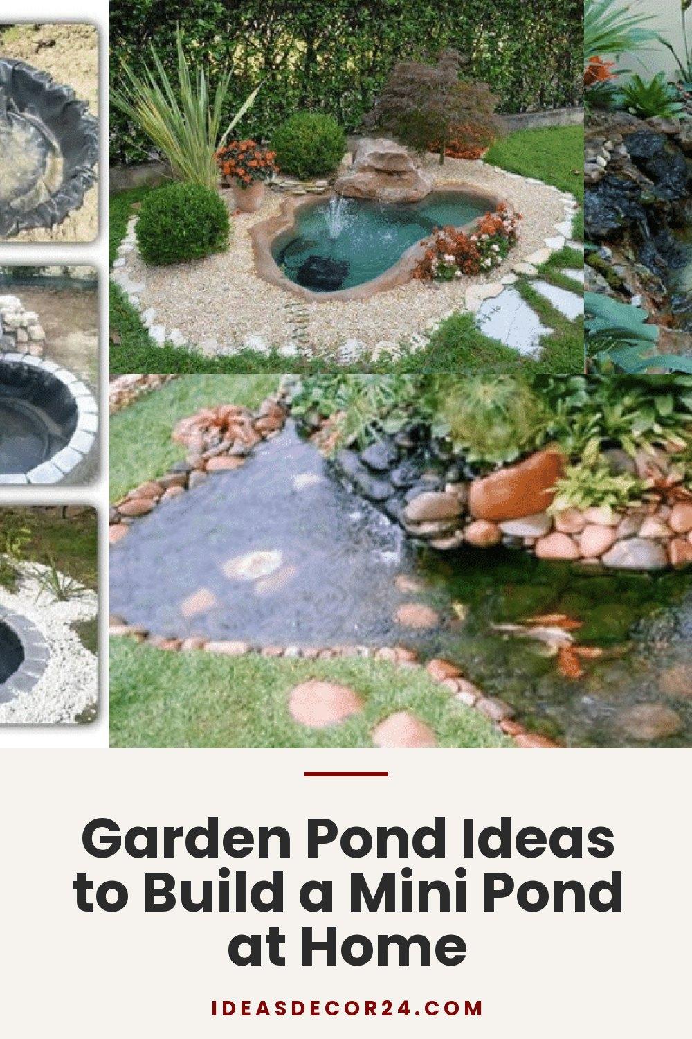 Garden Pond Ideas to Build a Mini Pond at Home
