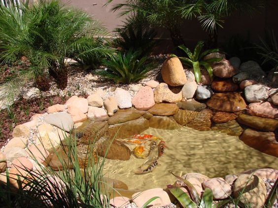 pond ideas for your garden 2