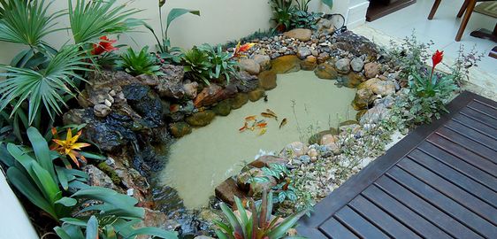 pond ideas for your garden 3