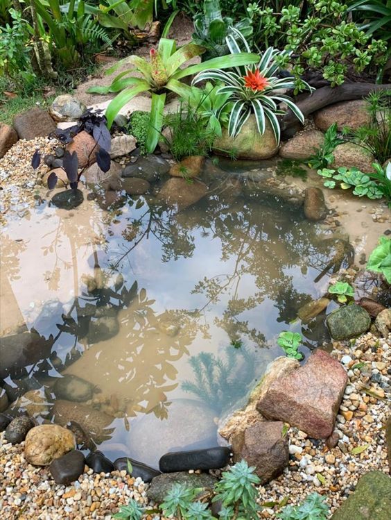 pond ideas for your garden 6
