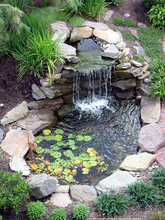 pond ideas for your garden 9