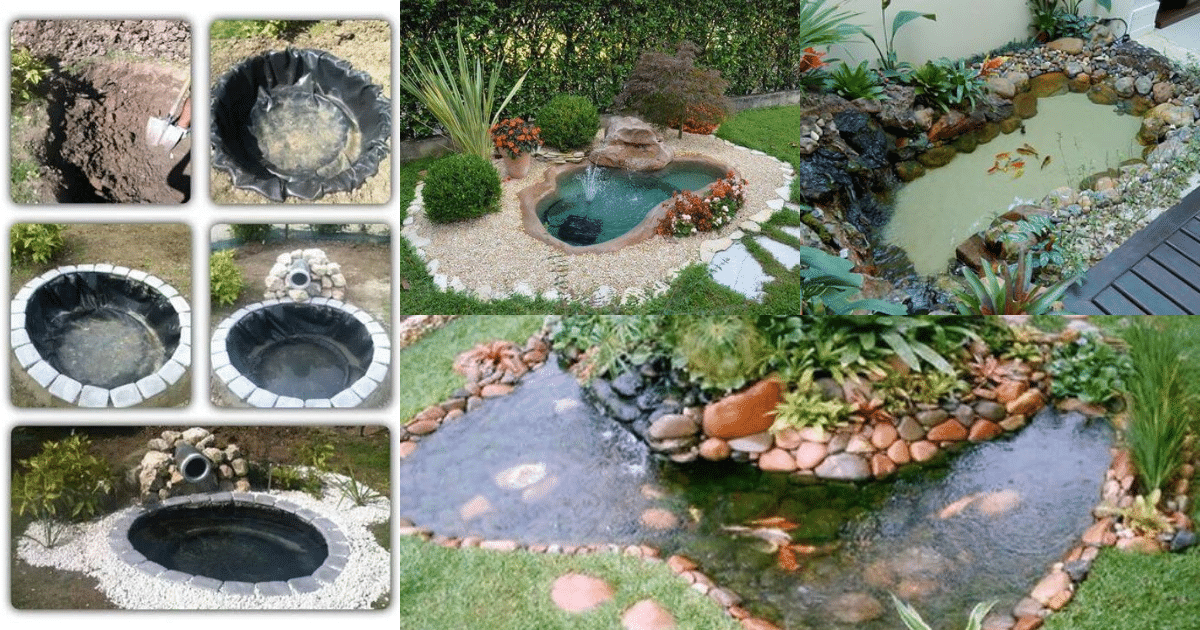 pond ideas for your garden