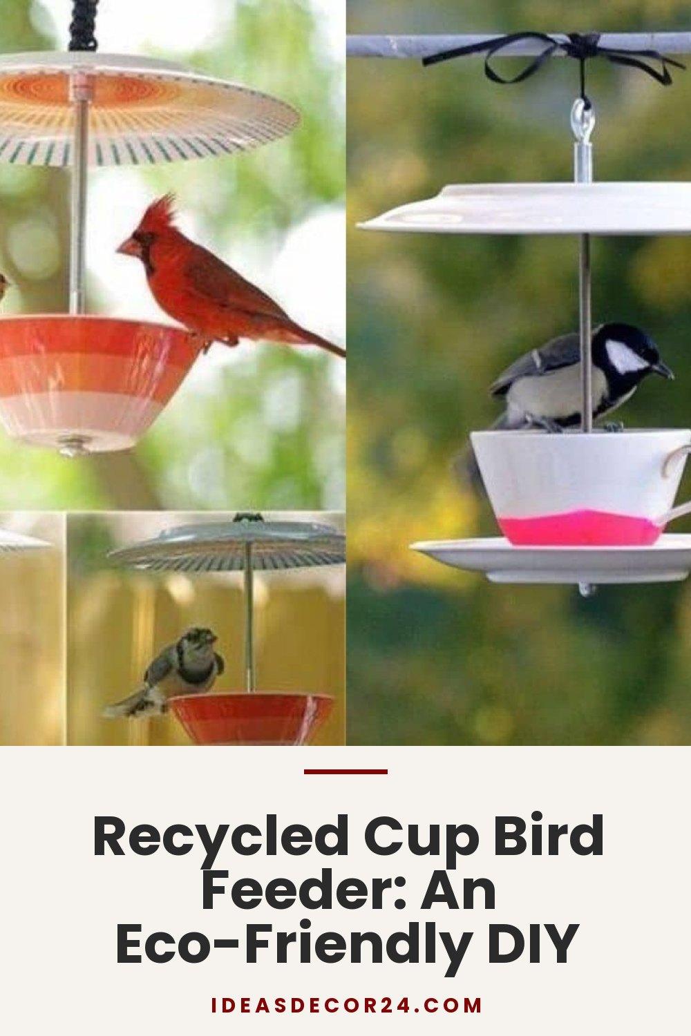 Recycled Cup Bird Feeder: An Eco-Friendly DIY